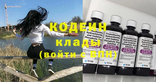 прущие грибы Бородино