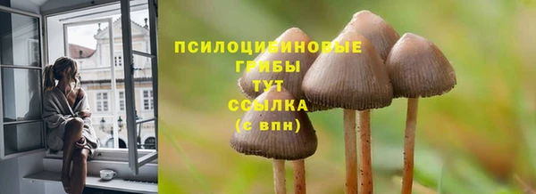 a pvp Лагань