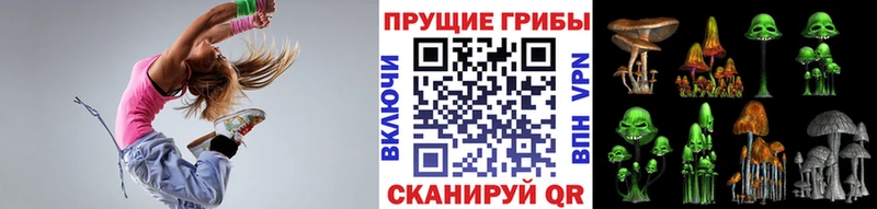 Галлюциногенные грибы мицелий  Вышний Волочёк 
